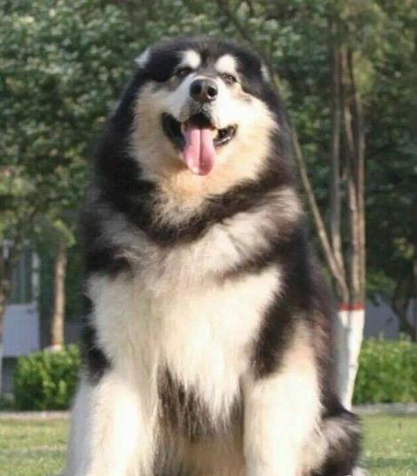 ?？谌岢鍪鄞恐职⒗辜尤笮腿煅栉锕? width=80px height=80px /></div><div   id=