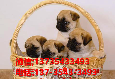 ?？诠烦〕鍪鄞恐职透缛煅凸饭肥谐≡谀? width=80px height=80px /></div><div   id=