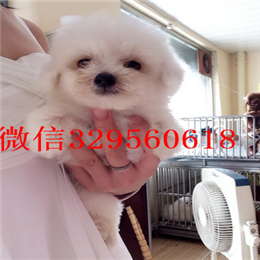  ?？谀睦锬苈虻奖刃苋√灞刃艽な榈谋刃苋刃苋醚盗仿? /></div>      <div   id=