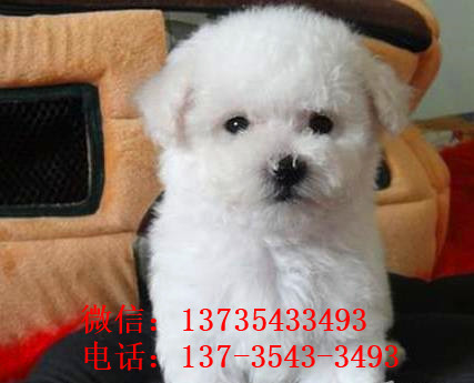 ?？诔栉锕饭烦鍪劬砻刃苋兹纷辛煅⌒? width=80px height=80px /></div><div   id=