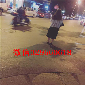 西双版纳哪里有卖纯种柴犬柴犬图片极品柴犬高品日本柴犬待售