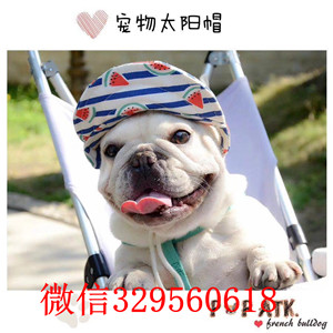 四平出售纯种奶油色法斗犬红色法斗法牛多少钱一只斗牛犬犬舍