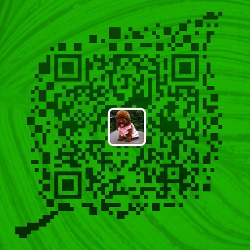 红河州哪里买杜宾犬 云南养狗场买杜宾