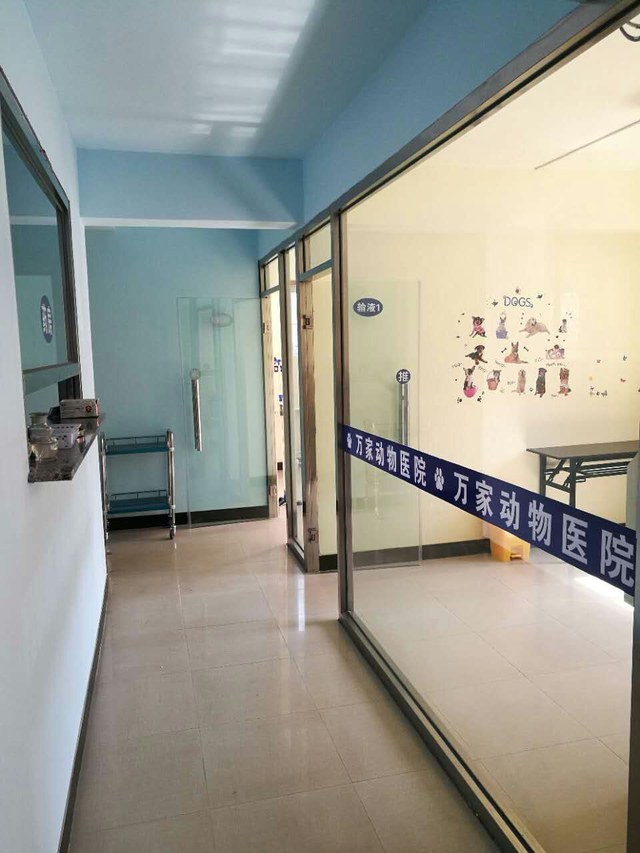 大连万家动物医院