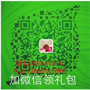 铁岭出售纯种双血统金毛金毛犬舍美系金毛