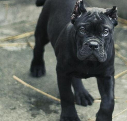 玉溪通?？ㄋ孤尥ê１镜毓烦〕Ｄ曷舸恐挚ㄋ孤? /></div>                          </div>

  </div>
  <div   id=