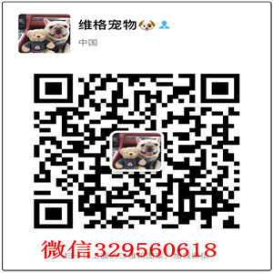 珠?？禄嗌偾恐挚禄鍪劭禄ご蠖? width=80px height=80px /></div><div   id=