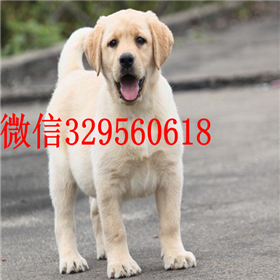  ?？谀睦镉写恐掷祭嗦艉谏祭嗬? width=80px height=80px /></div><div   id=