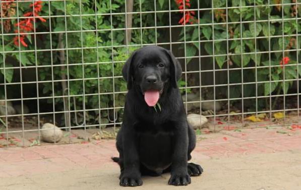 ?？诔栉锕饭啡岢鍪鄞恐掷祭嗟济と兹? /></div>              </div>

  </div>
  <div   id=