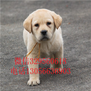  ?？谀睦镉写恐掷祭嗦舫鍪鄞恐掷祭嘤兹ㄒ捣敝炒恐掷祭嗬祭嗪醚? /></div>      <div   id=