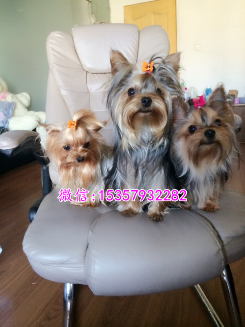 ?？谀睦锍鍪鄞恐衷伎讼挠兹??？谀睦镉谐栉? width=80px height=80px /></div><div   id=